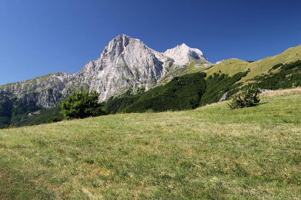 Complesso Turistico Aurora - Camere B&B Poggio Picenze 외부 사진